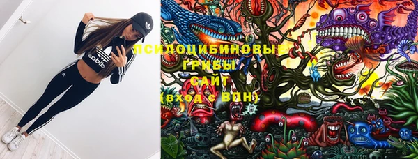 меф Арсеньев